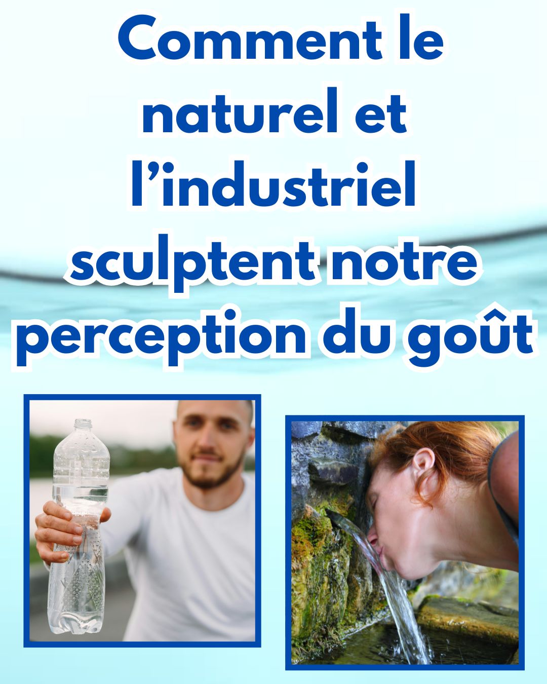 L’invisible alchimie des filtres à eau : comment le naturel et l’industriel sculptent notre perception du goût